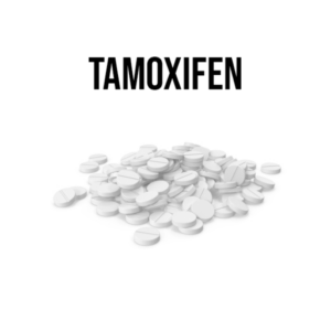 TAMOXIFEN 20mg – 500 tab