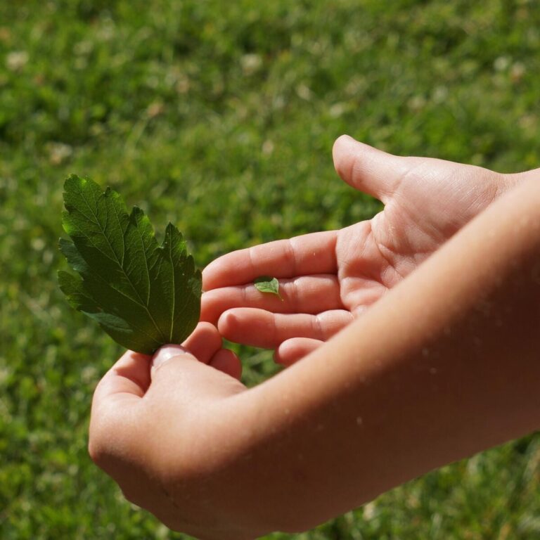 andere größe, groß und klein, vergleich, an, kinderhände, vergleich, vergleich, vergleich, kinderhände, kinderhände, kinderhände, kinderhände, kinderhände