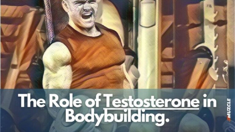 The Role of Testosterone in Bodybuilding: An Introduction