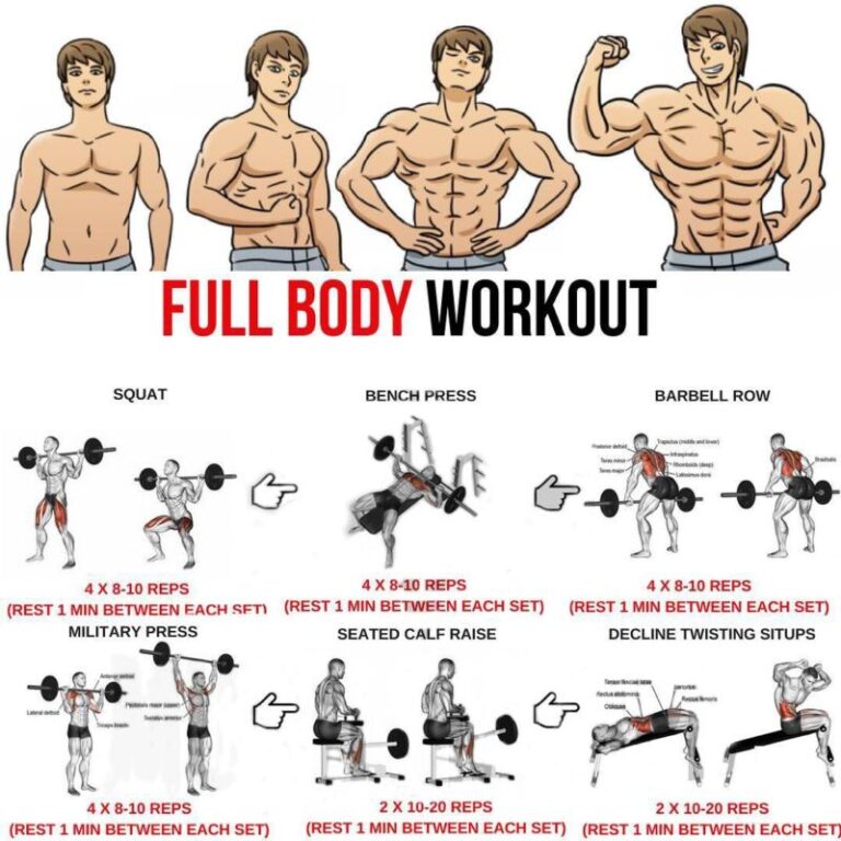 Bodybuilding Full Body Workout at Jason Watkins blog