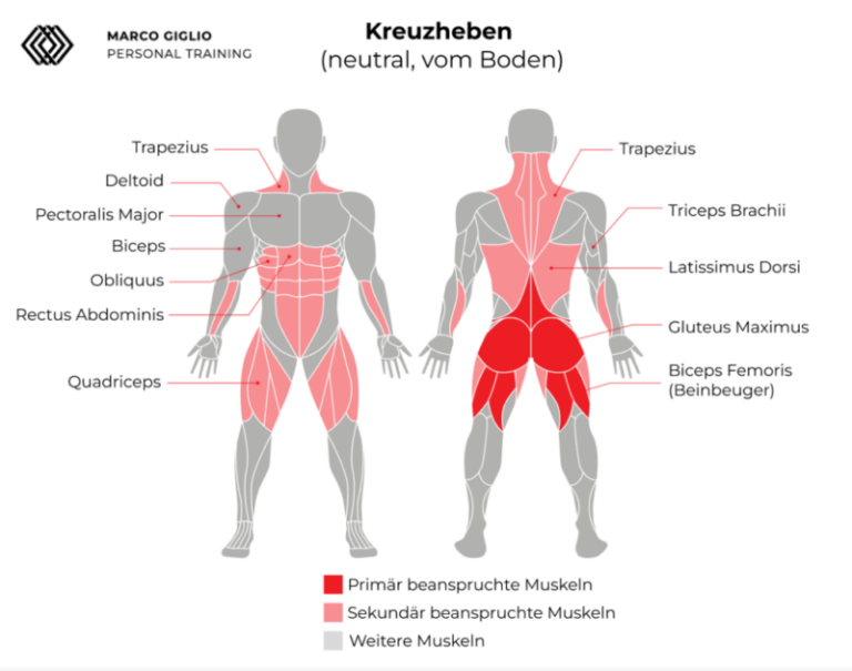 Kreuzheben vom Boden: Ausführlicher Guide | MARCO GIGLIO