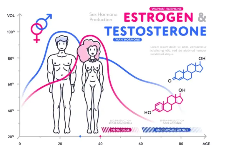 Testosteron Ratgeber - Wirkung, Anwendung bis Steigerung des Hormons