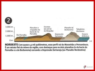 Domínio: Caatinga, Araucária, Pradarias, Transição | PPTX