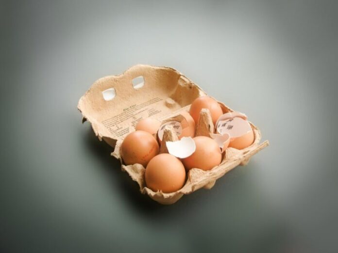 eier, schachtel, packung eier, schachtel, packung