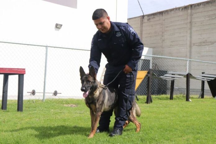 Integran al Sistema Penitenciario una Unidad de K-9