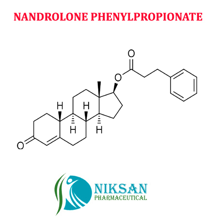 Nandrolone Phenylpropionate Manufacturer and Exporter - Best Prices