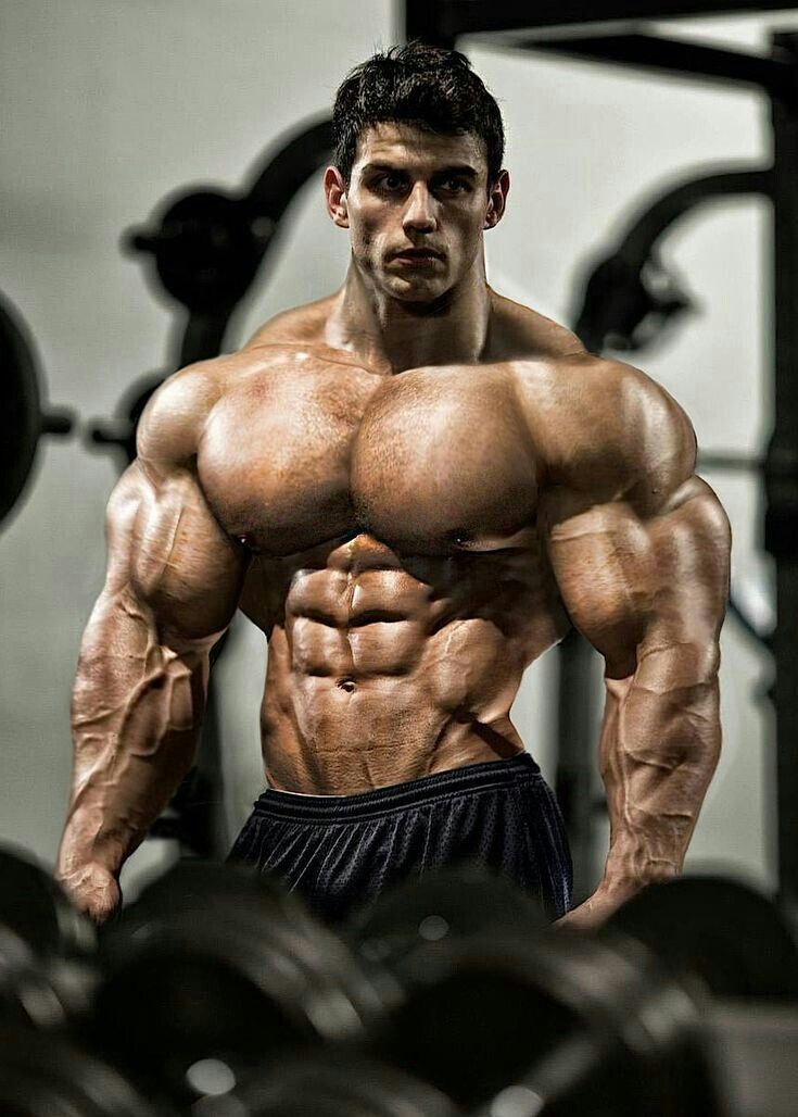 Body fitness | Bodybuilding motivation, Muscular men, Shape