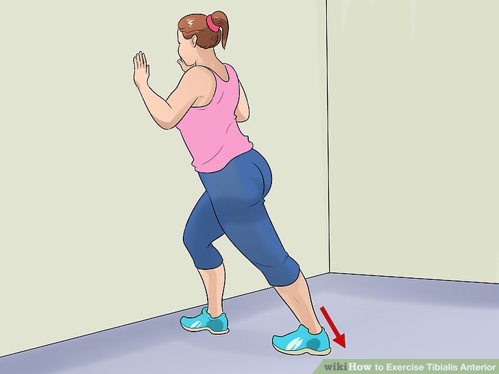 Exercicios Para O Musculo Tibial Anterior 3 Ways To Exercise Tibialis