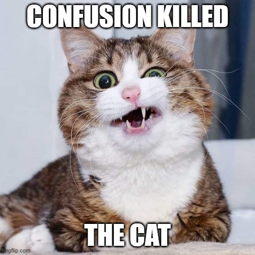 Funny Confused Cat Memes