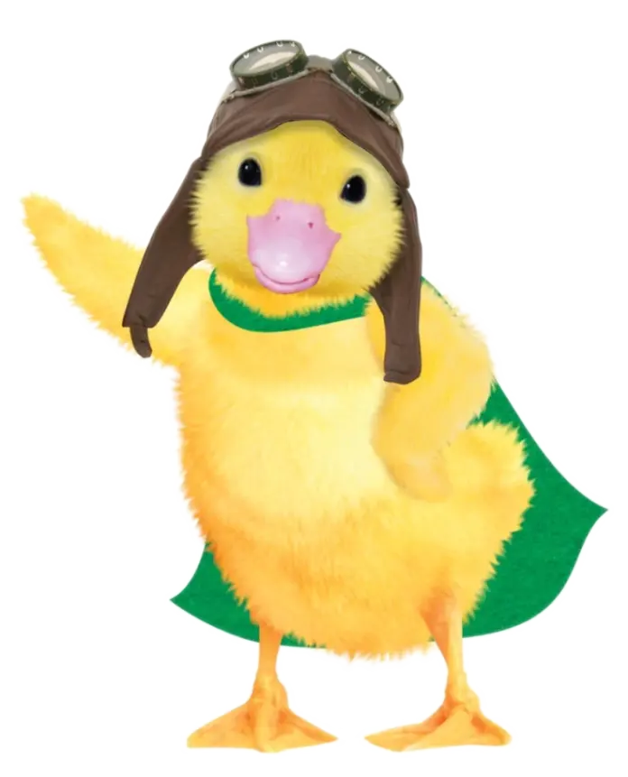 Ming-Ming Duckling | Wonder Pets! Wiki | Fandom Ming-Ming Duckling | Wonder Pets! Wiki | Fandom