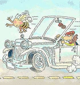 Some days you’re the windshield, some days you’re the bug | A night to ...