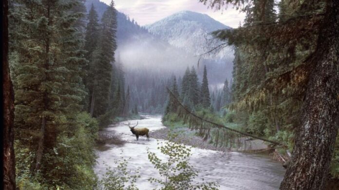 Wilderness Wallpapers - Top Free Wilderness Backgrounds - WallpaperAccess Wilderness Wallpapers - Top Free Wilderness Backgrounds - WallpaperAccess